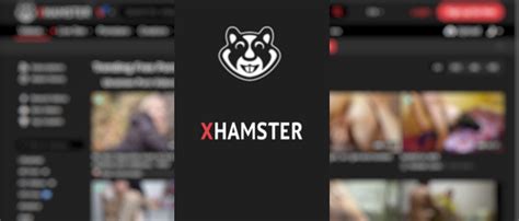 xxamster|Best Porn Channels: Sex Video Producers & Creators